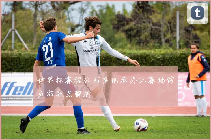 世界杯赛程公布多地承办比赛场馆分布亮点解析