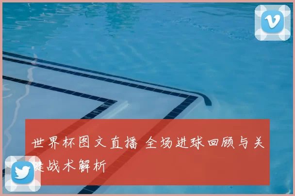 世界杯图文直播 全场进球回顾与关键战术解析