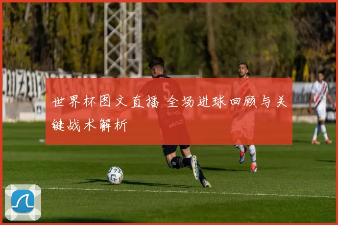 世界杯图文直播 全场进球回顾与关键战术解析