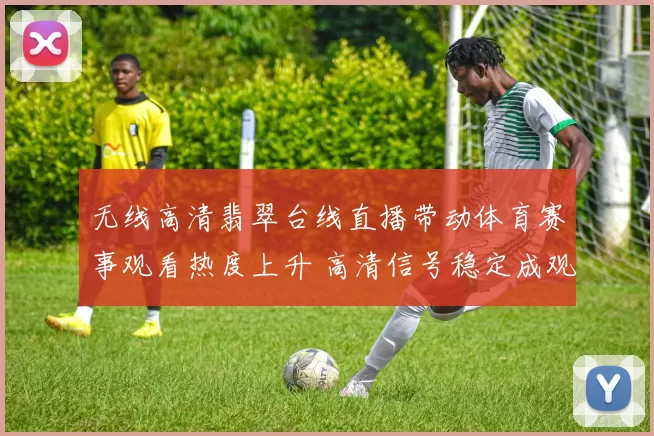 无线高清翡翠台线直播带动体育赛事观看热度上升 高清信号稳定成观赛重点